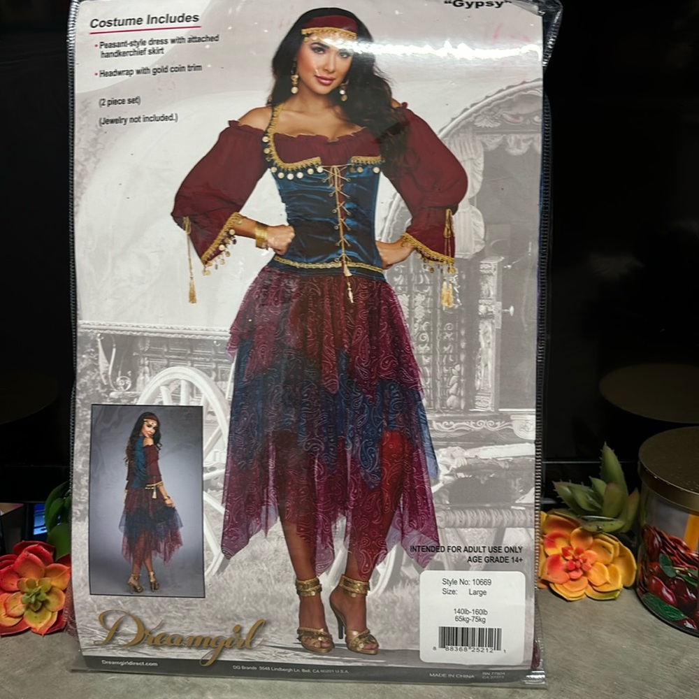 Gypsy Halloween costume size large brand new